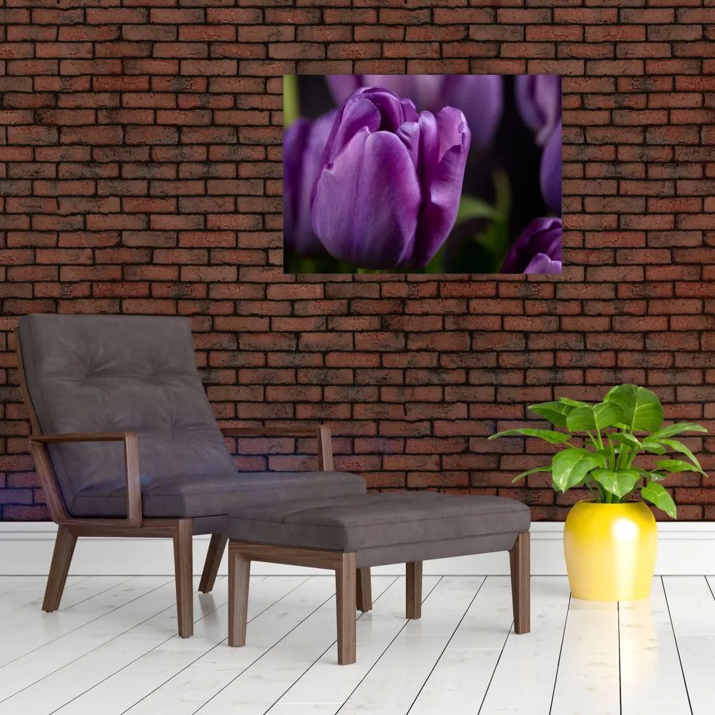 Tablou cu flori de lalele (70x50 cm)