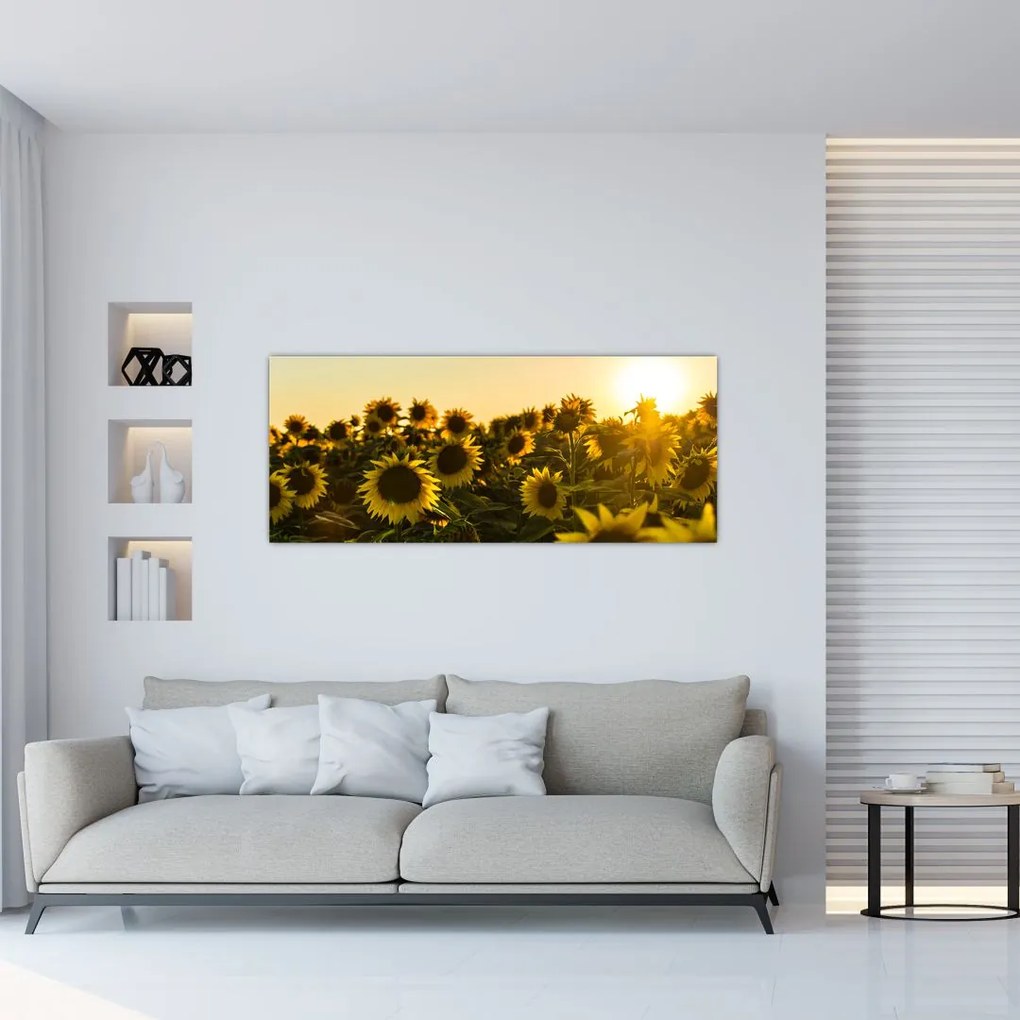 Tablou cu lan de floarea soarelui (120x50 cm)