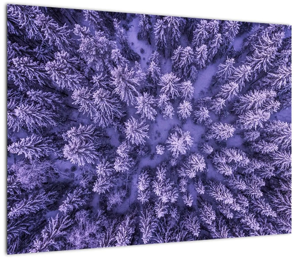 Tablou pe sticlă cu copacii înzăpeziți (70x50 cm)