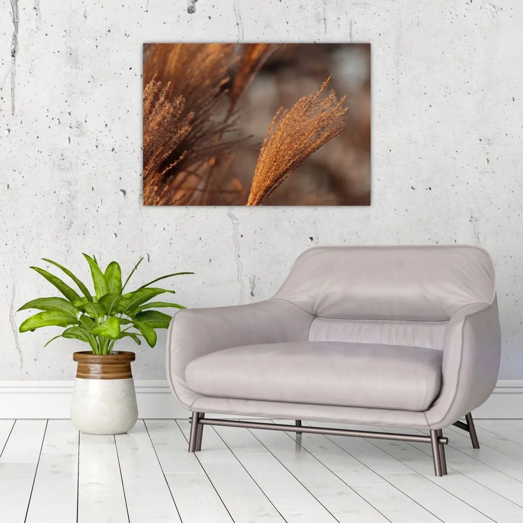 Tablou - Cortaderie (70x50 cm)