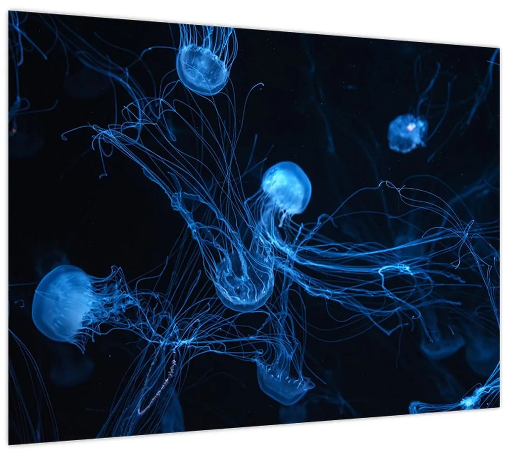 Tablou - Meduză (70x50 cm)