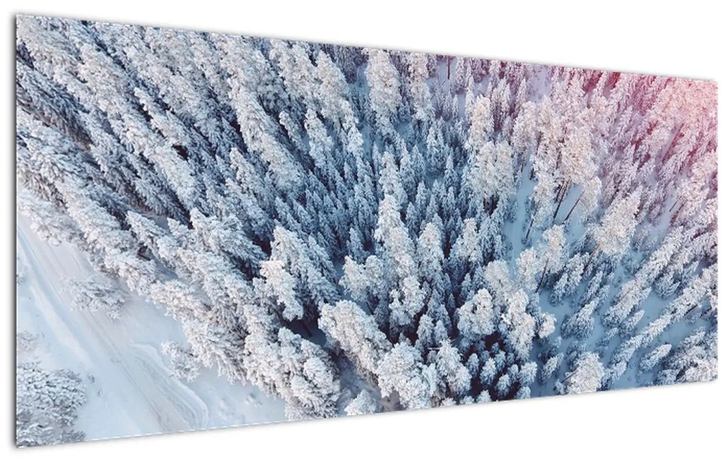 Tablou cu copaci înzăpeziți (120x50 cm)