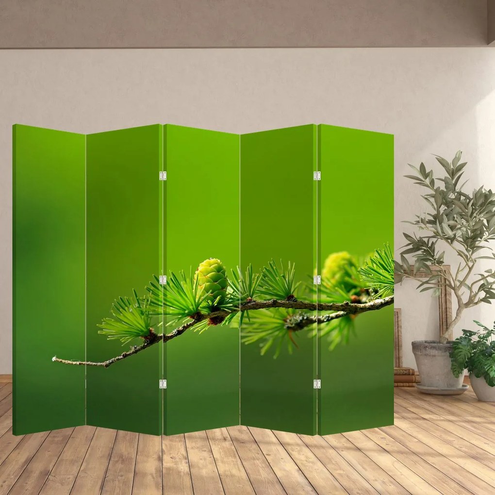 Paravan Con verde (210x170 cm)
