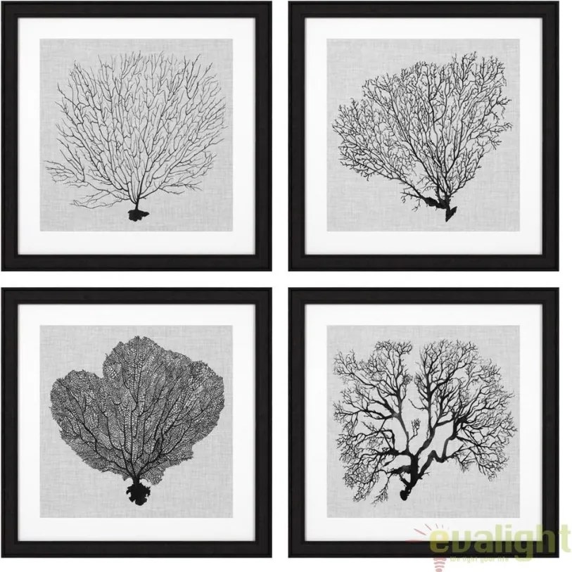 Set 4 tablouri design LUX Shadow Sea Fans 112752 HZ