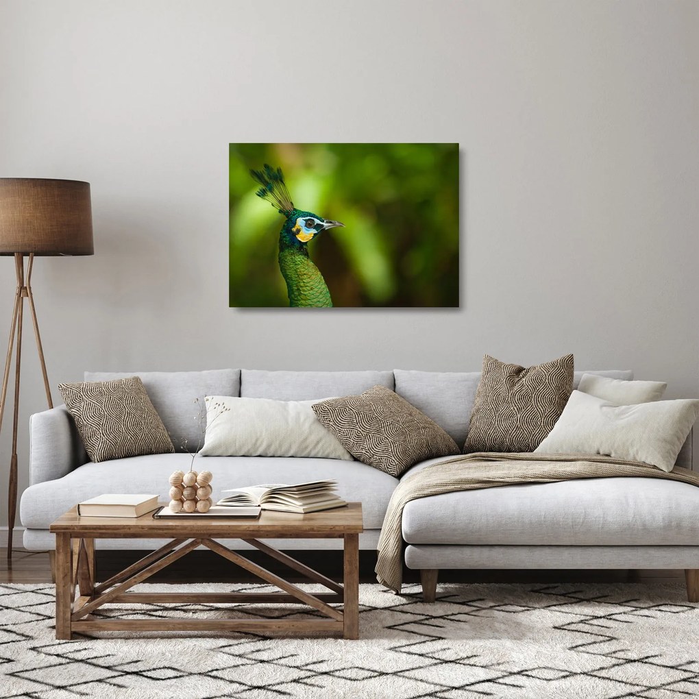 Tablou pe sticlă cu păun (70x50 cm)