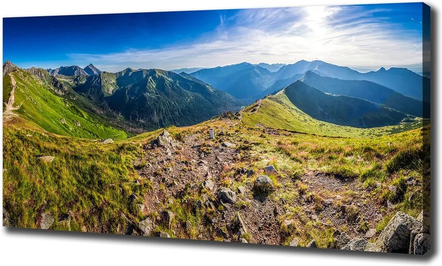 Tablou pe pânză canvas Panorama de munte