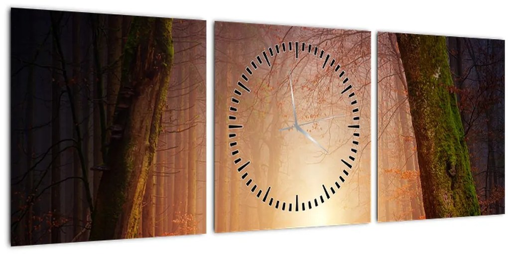 Tablou cu pădurea toamna în ceață (cu ceas) (90x30 cm)