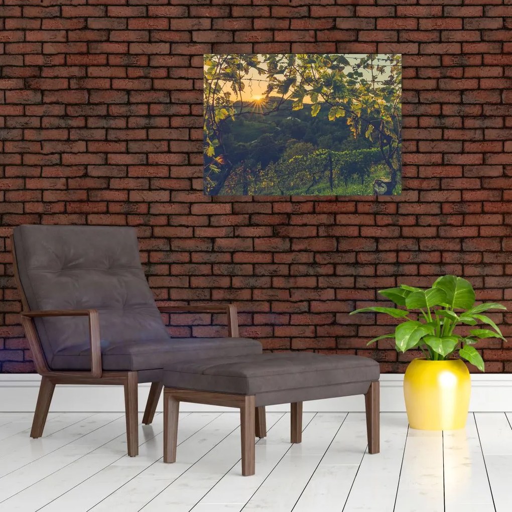 Tablou - Podgorii (70x50 cm)