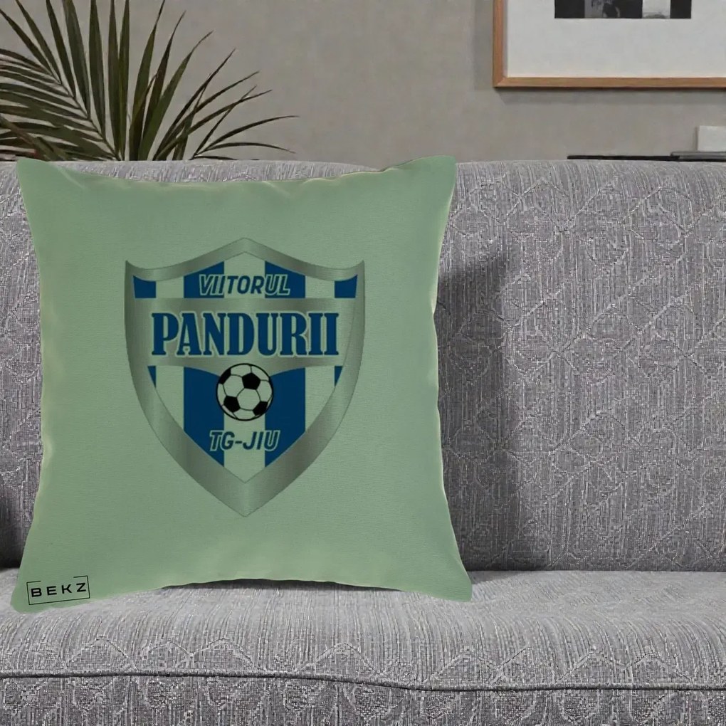 Perna Personalizata Pandurii Targu Jiu Fotbal, 40x40 cm, Verde, Husa Detasabila, Perna Inclusa, BEKZ®