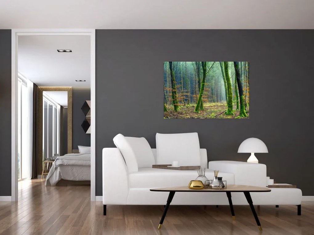 Tablou cu pădure (90x60 cm)