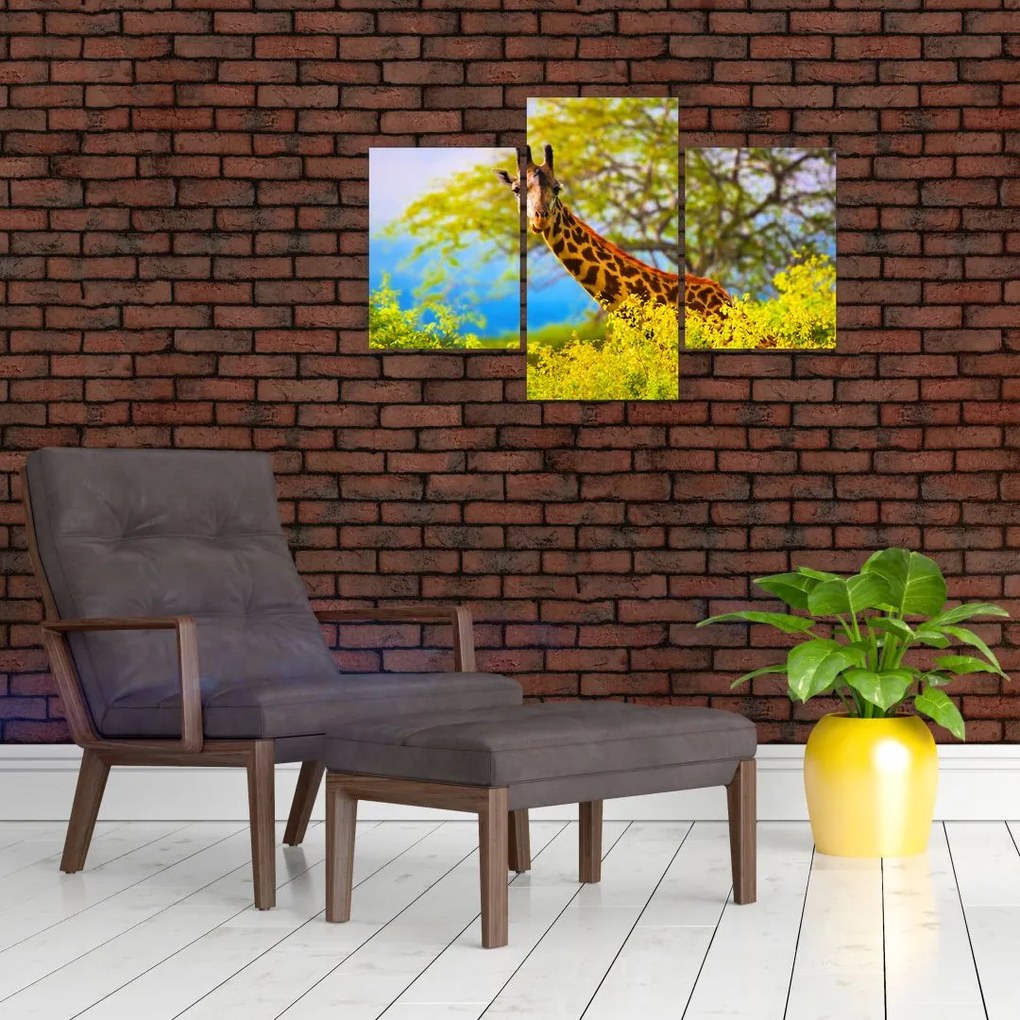 Tablou - Girafa în Africa (90x60 cm)