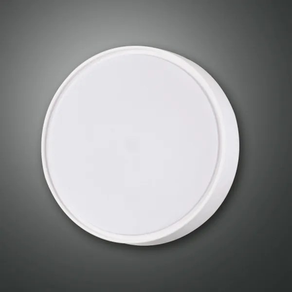 Fabas 3229/61/102 - Plafoniera baie HATTON 1xE27/42W/230V IP65