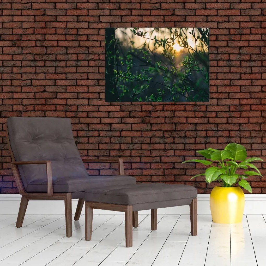Tablou pe sticlă - Soarele strălucind printre crengile copacilor (70x50 cm)