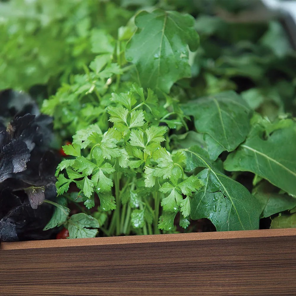 Cutie decorativă de grădină din plastic, cu raft inferior, 110 l, lemn de nuc