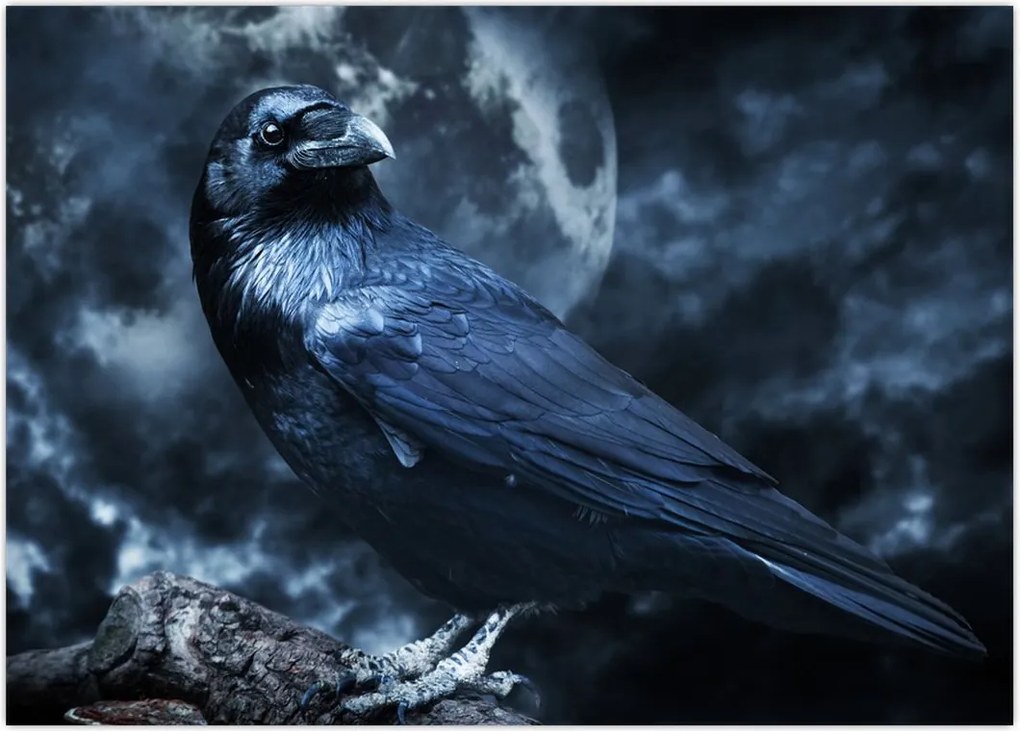 Tablou - Corbul (70x50 cm)