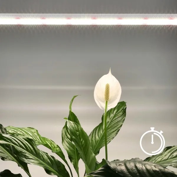 LED lampă subacvariu pentru creșterea plantelor GROWLY LED/15W/230V