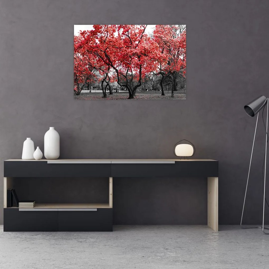 Tablou - Copacii roșii, Central Park, New York (90x60 cm)