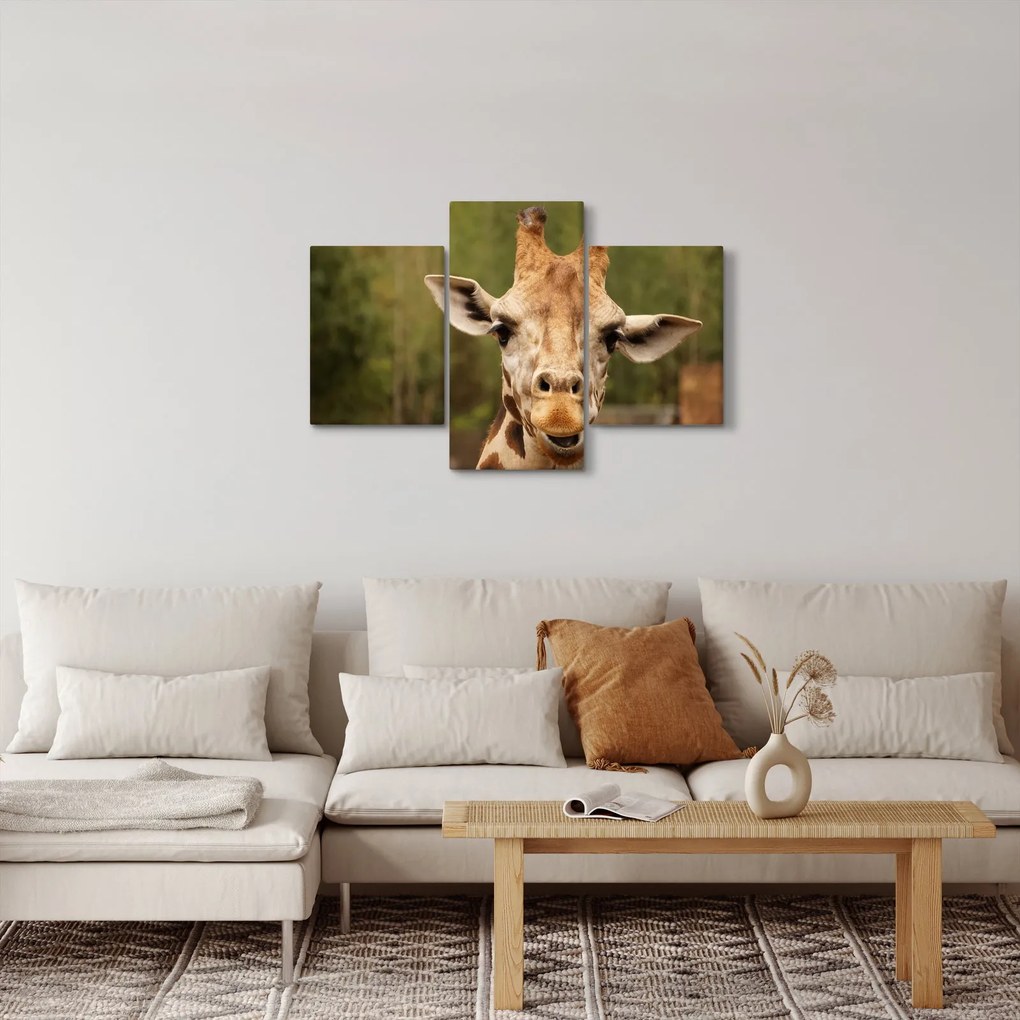Tablou girafe (90x60 cm)