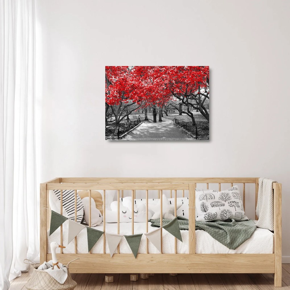 Tablou pe sticlă - Copaci roșii, Central Park, New York (70x50 cm)