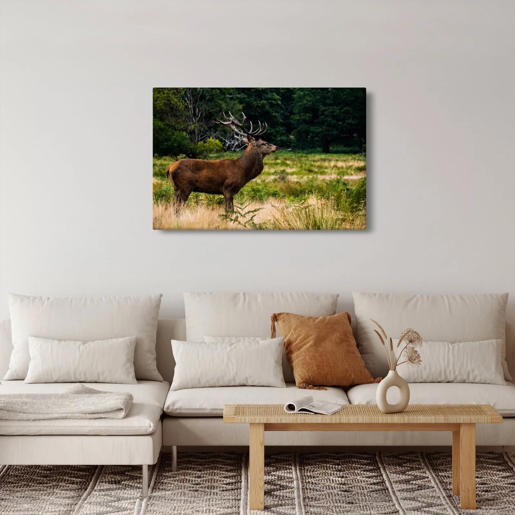 Tablou cu cerb (90x60 cm)