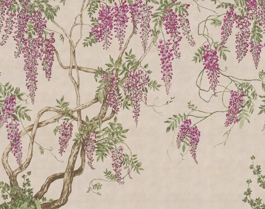 Fototapet, Wisteria Tree, Dusty Pink, Rebel Walls