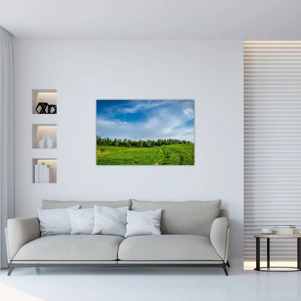 Tablou cu luncă (90x60 cm)