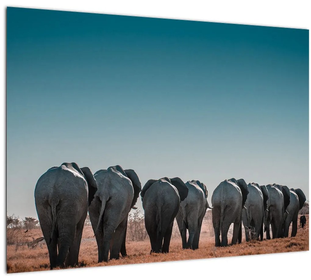 Tablou - Plecarea elefanților (70x50 cm), în 40 de alte dimensiuni noi