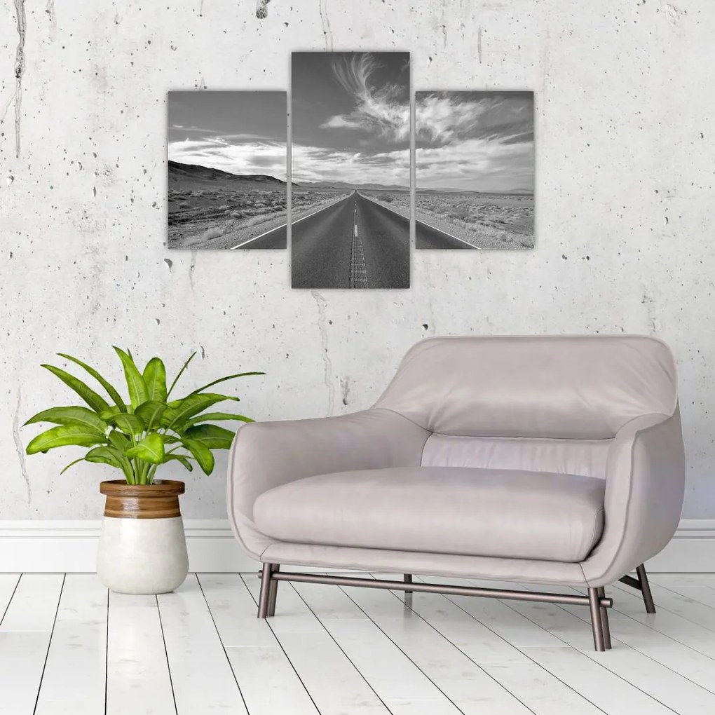 Tabloul cu autostrada (90x60 cm)