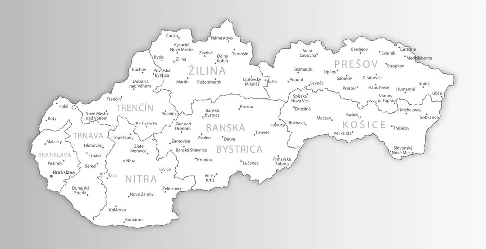 Tablou pe plută hartă alb-negru a Slovaciei