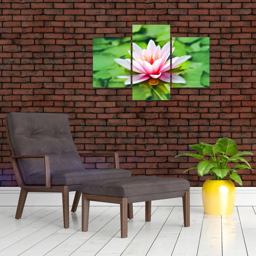 Tablou - Nuferi pe apă (90x60 cm)