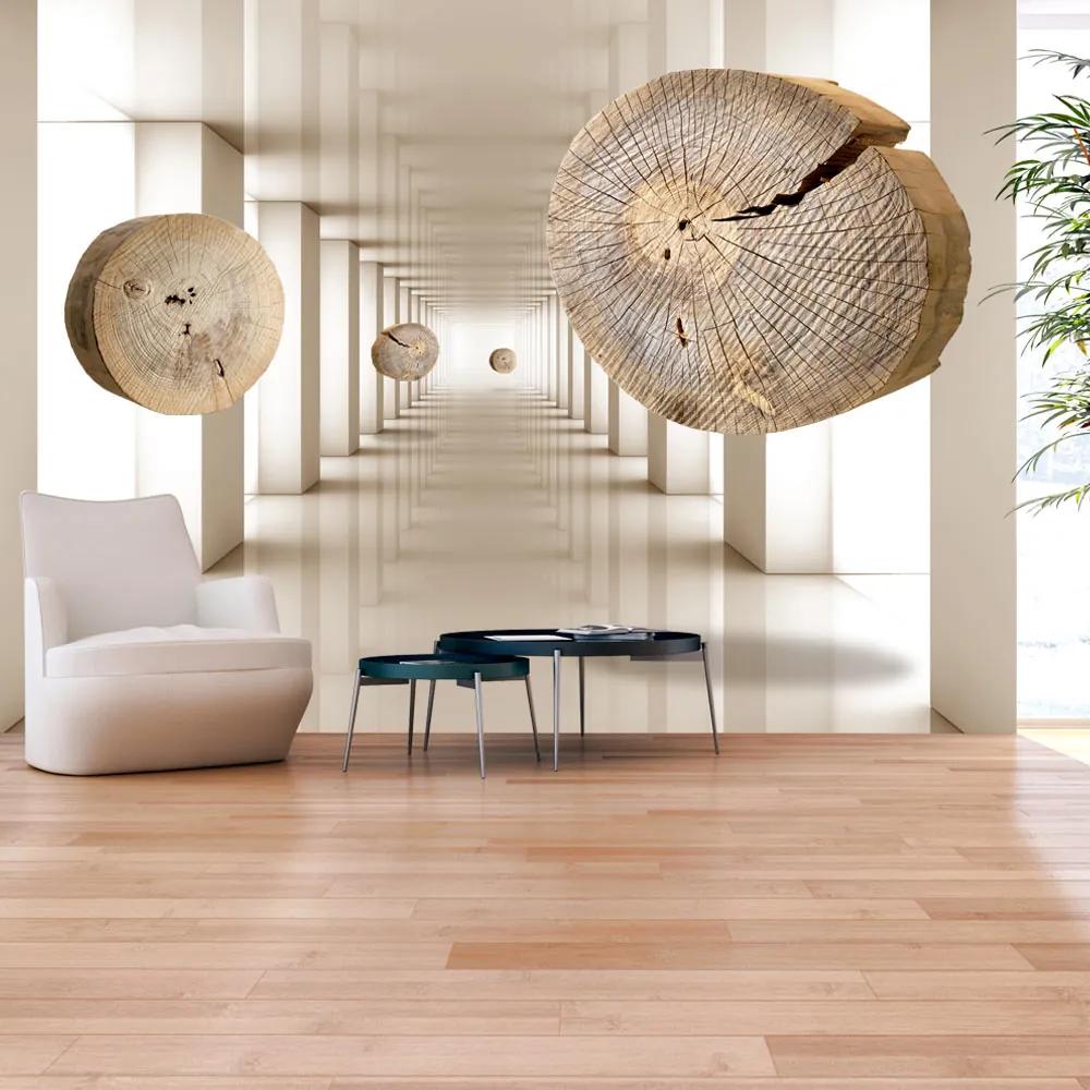 Fototapet Bimago - Flying Discs of Wood + Adeziv gratuit 300x210 cm