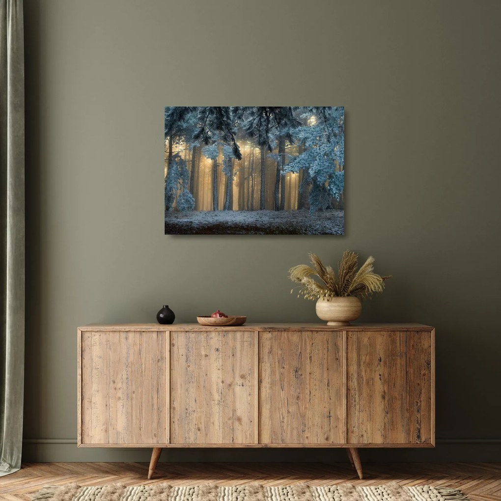 Tablou pe sticlă cu pădure înzăpezită (70x50 cm)