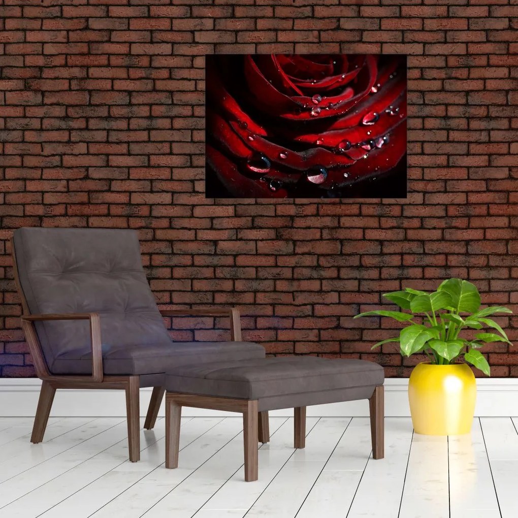 Tablou - Trandafir (70x50 cm)