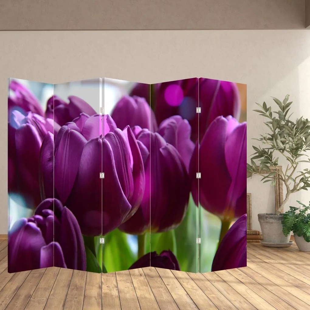 Paravan - Lalele (210x170 cm)