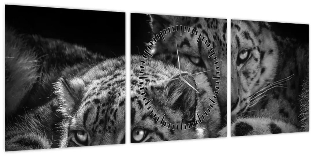 Tablou - Gheparzi care se odihnesc (cu ceas) (90x30 cm)