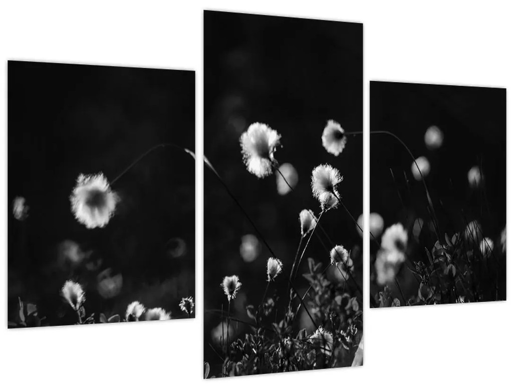 Tablou - Pajiște cu iarbă de cozonac N⁰1 (90x60 cm)
