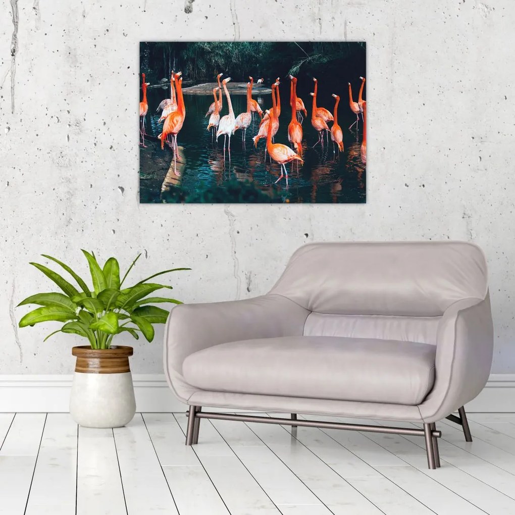 Tablou pe sticlă - turmă de flamingo (70x50 cm)
