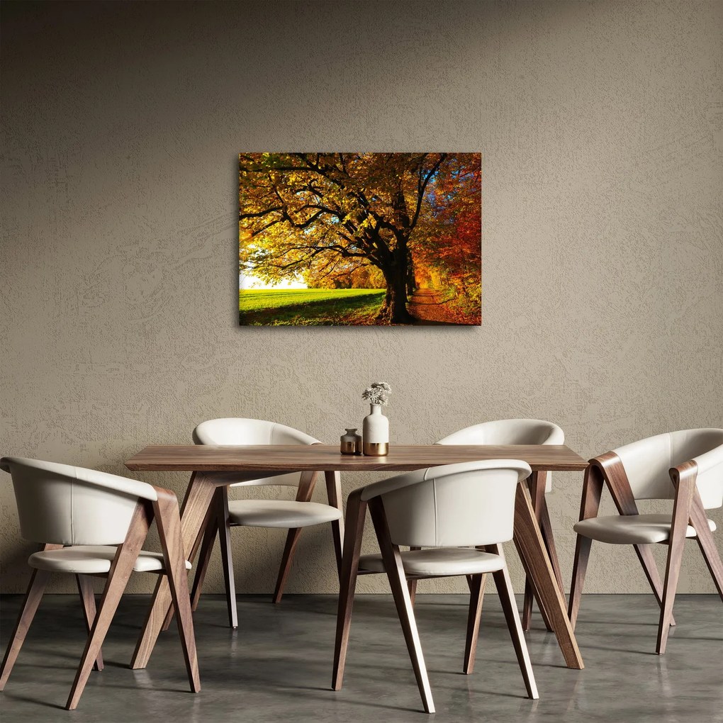 Tablou cu toamna (70x50 cm)