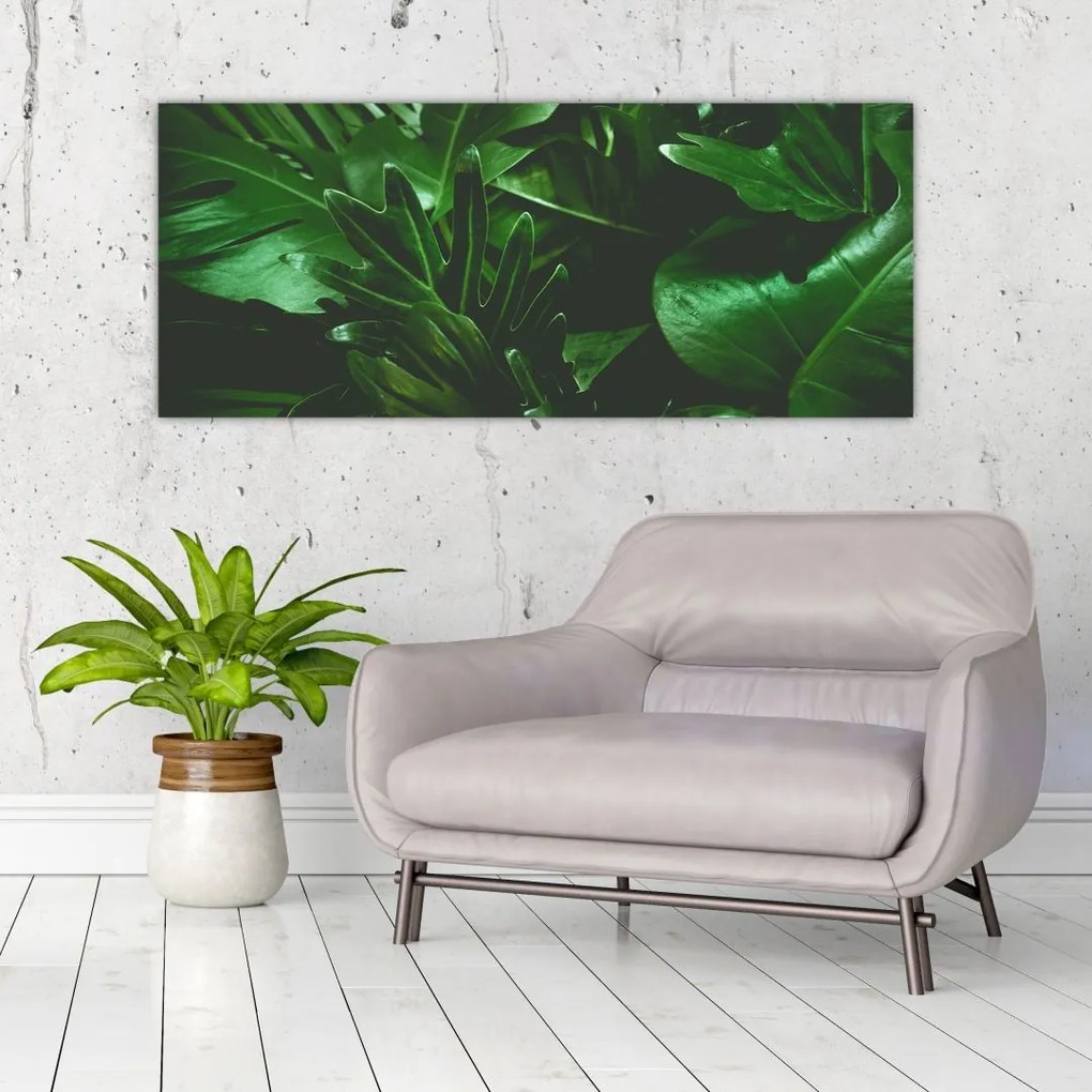 Tablou - Frunze de palmier (120x50 cm)