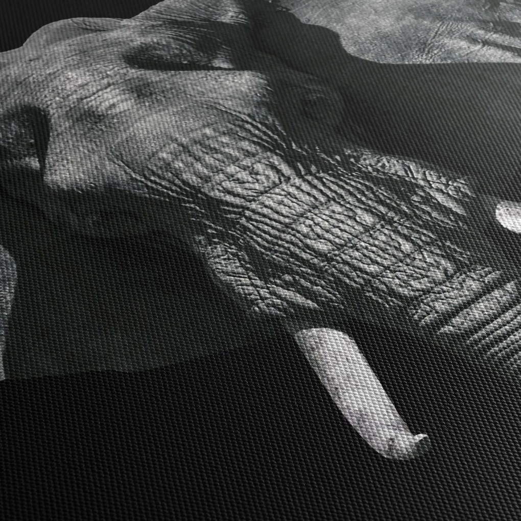 Tablou - Elefant pe fundal negru (70x50 cm)