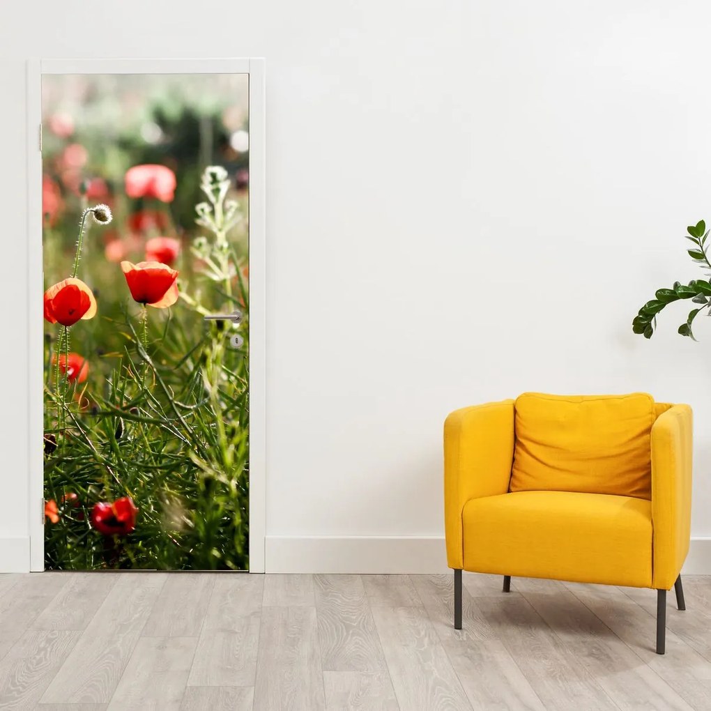 Fototapet pentru ușă - Maci (95x205cm)