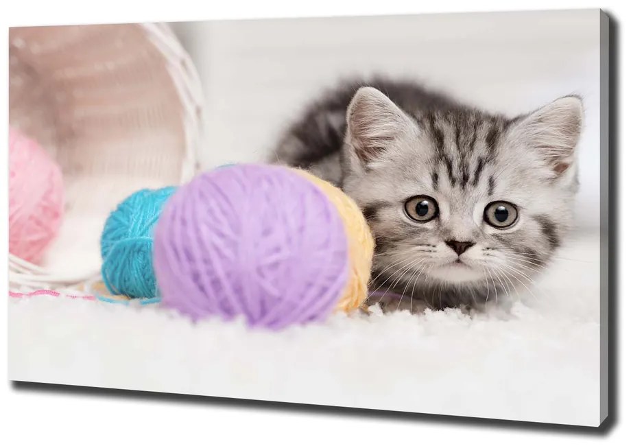 Print pe canvas Cat cu motkami