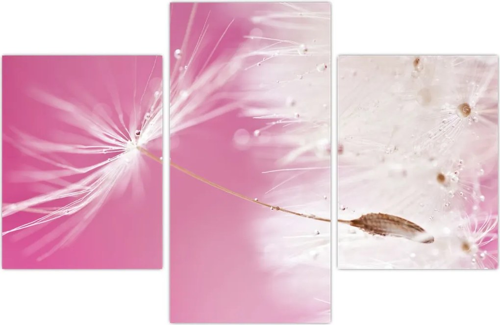 Tablou - Floare macro (90x60 cm)