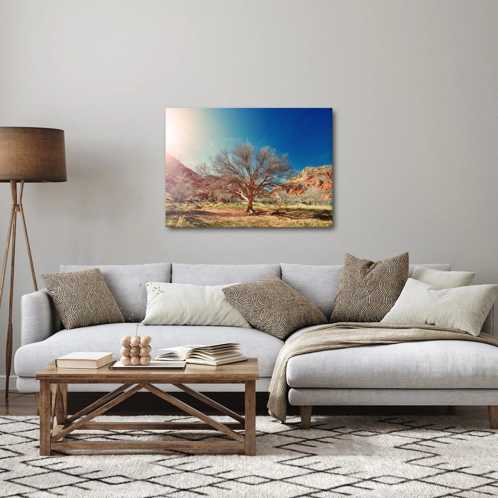 Tablou cu cu copac în deșert (70x50 cm)
