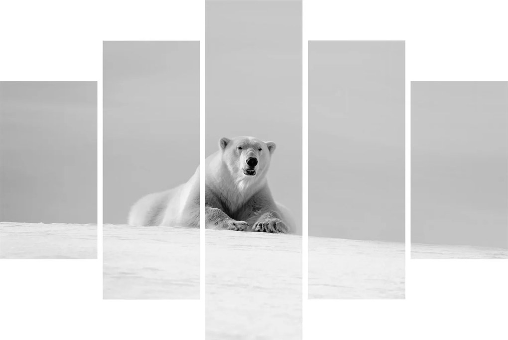 Tablou - Ursul polar (150x105 cm)
