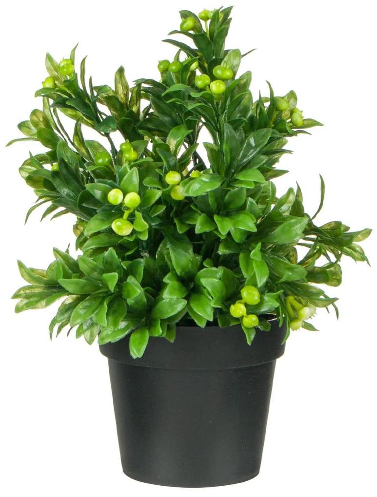 Ghiveci decorativ cu planta verde - 25cm
