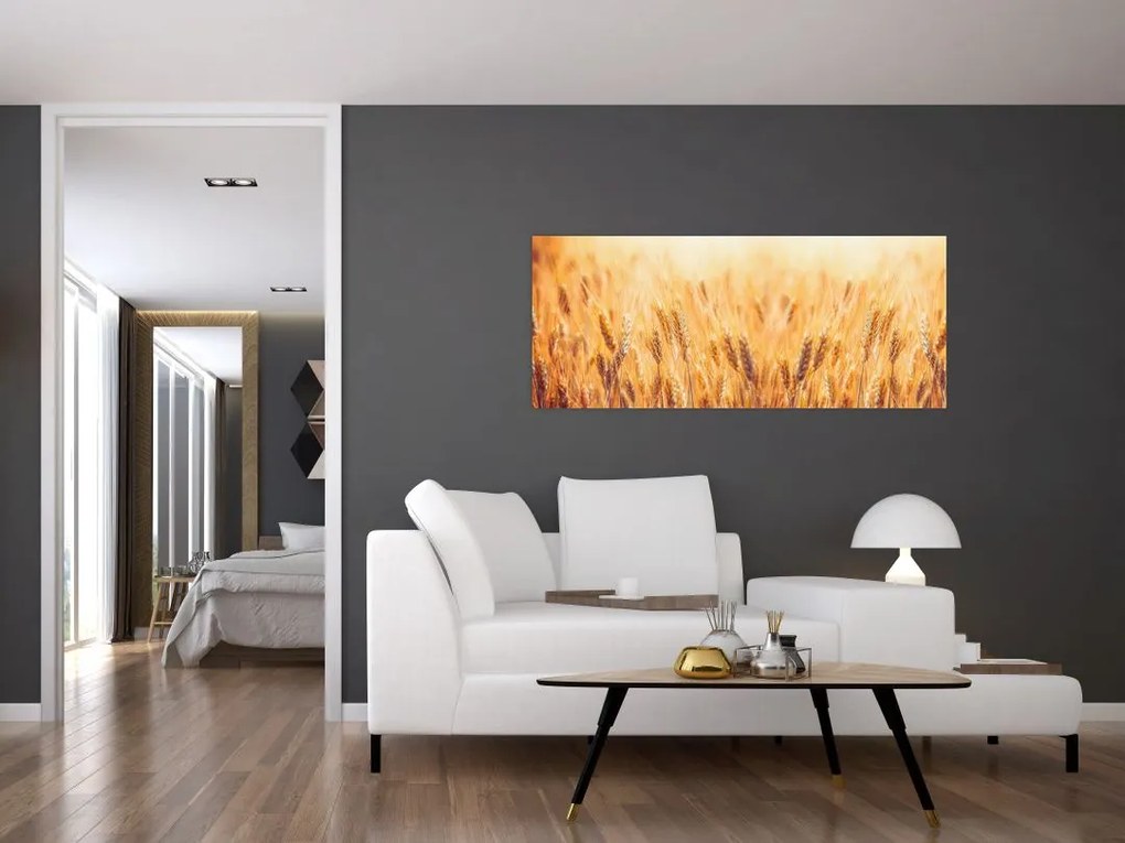 Tablou - câmp cu grâne (120x50 cm)