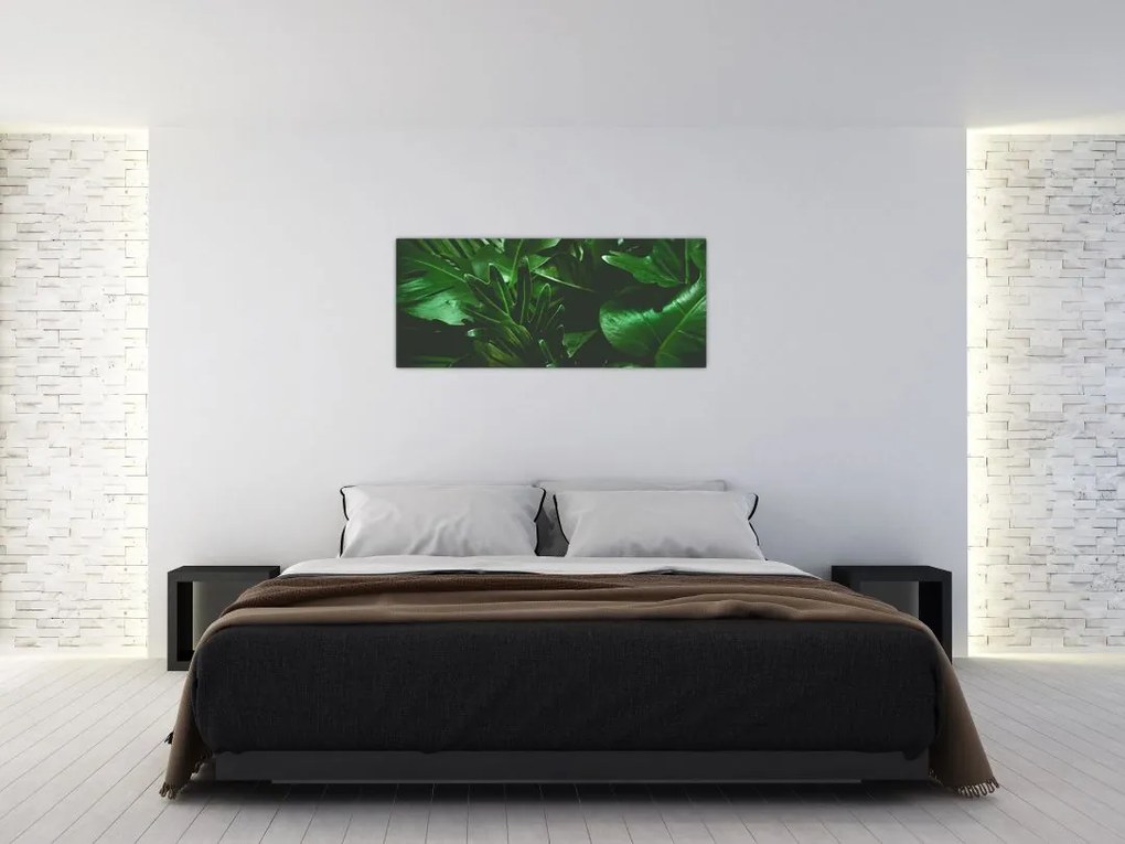 Tablou - Frunze de palmier (120x50 cm)