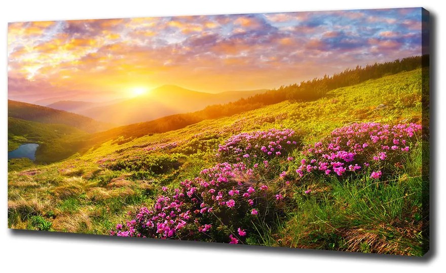 Print pe canvas Munte apus de soare