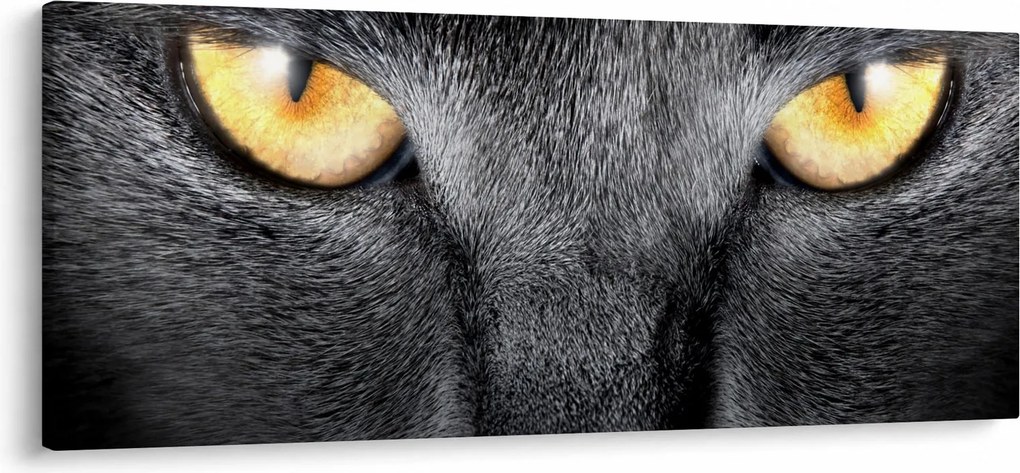 Tablou - Close up portret de o pisică (120x50 cm)